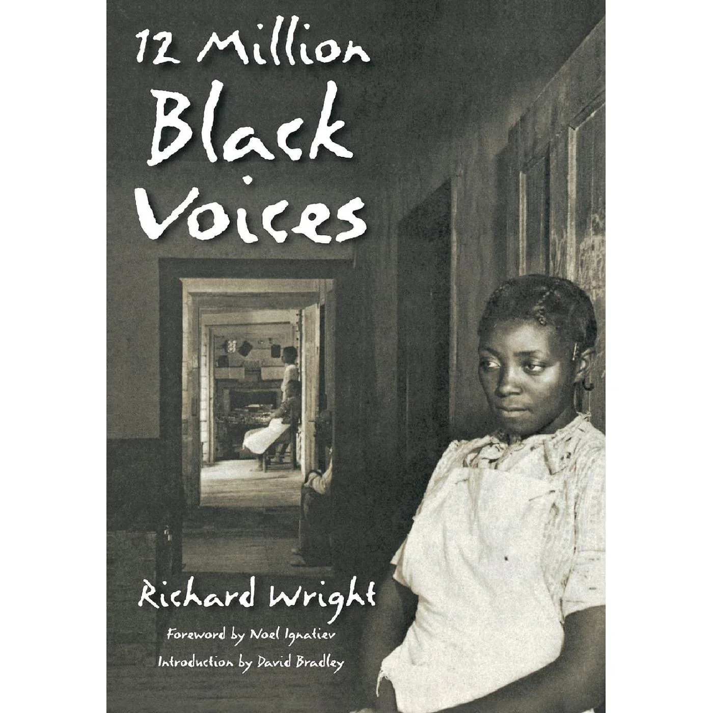 12 Million Black Voices