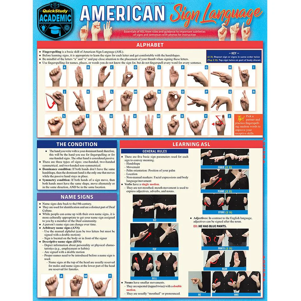 American Sign Language (ASL) Bar Chart - Image 2