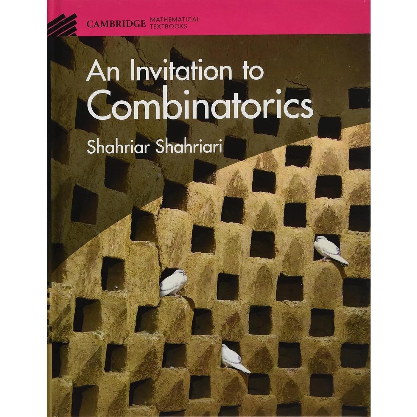 An Invitation to Combinatorics