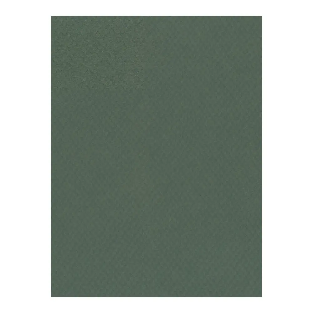 Canson 8.5x11 Mi-Teintes Paper - Image 4