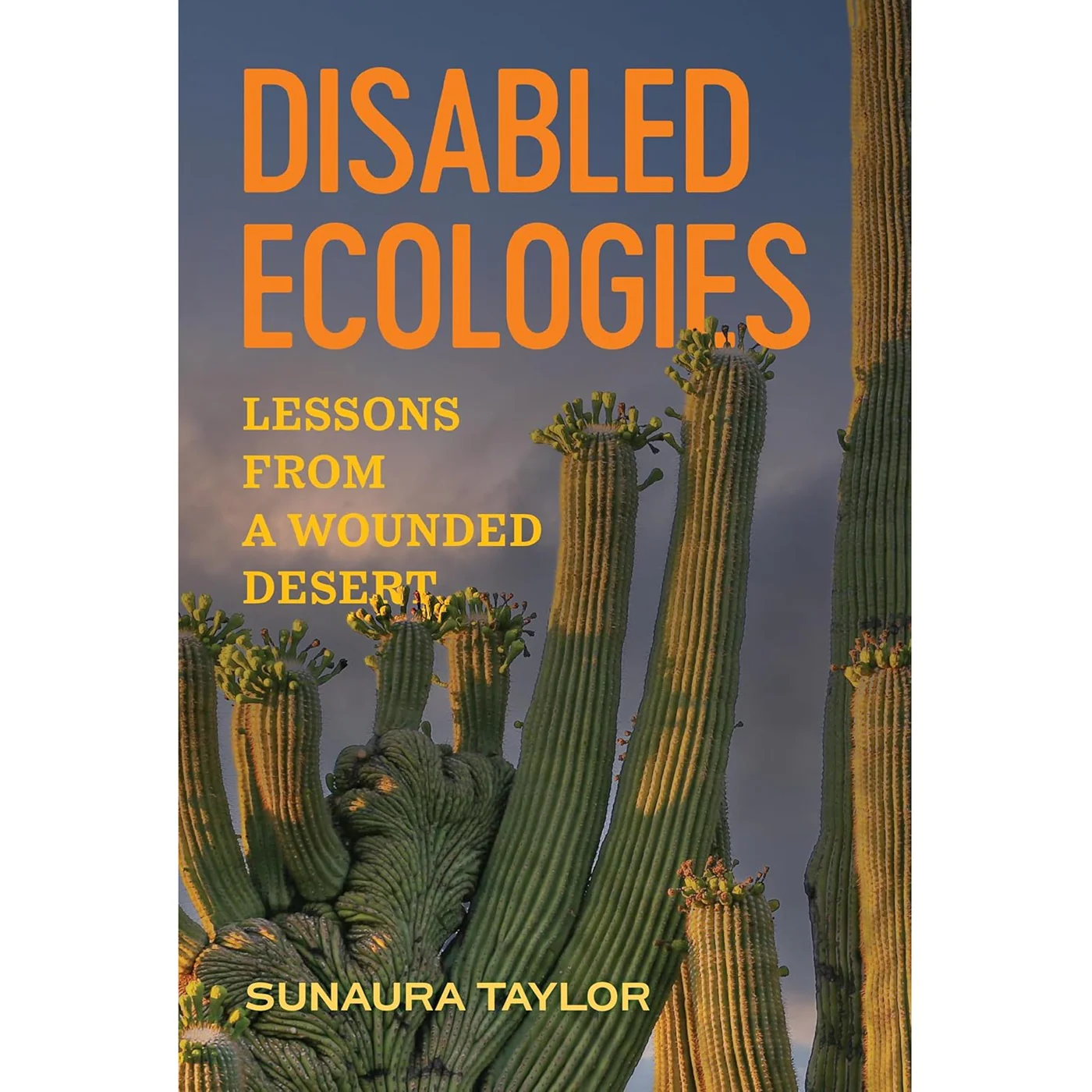 Disabled Ecologies: Lessons from a Wounded Desert - Image 2