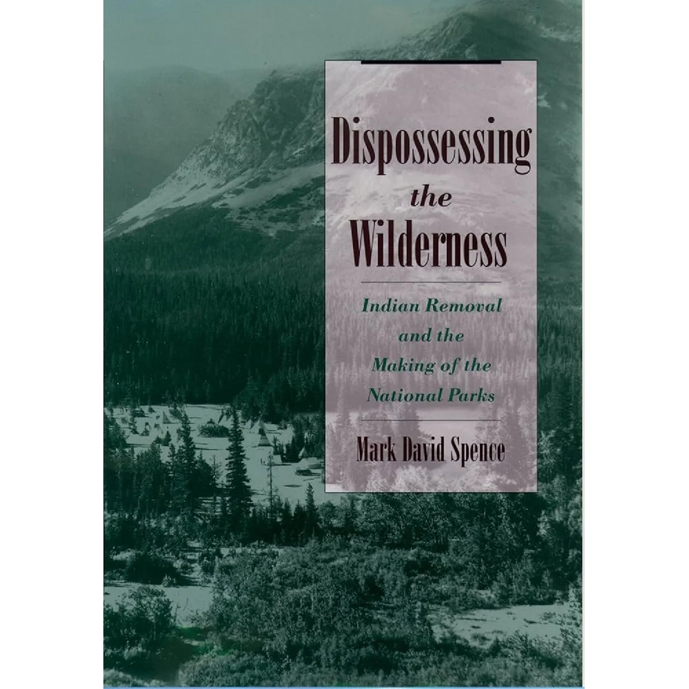 Dispossessing the Wilderness - Image 2