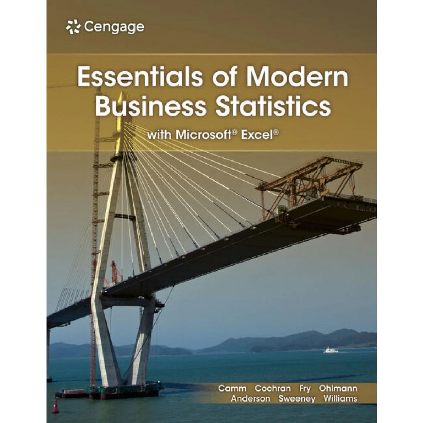 Essentials of Modern Business Statistics with Microsoft Excel (9E 25) - Image 2