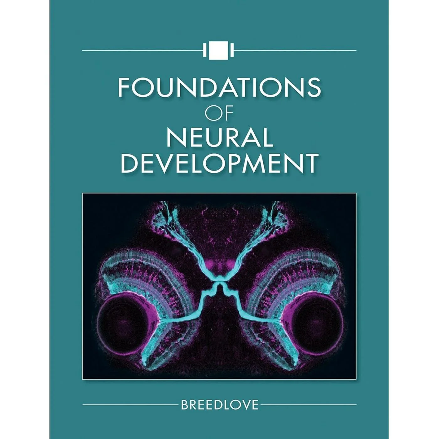 Foundations of Neural Development