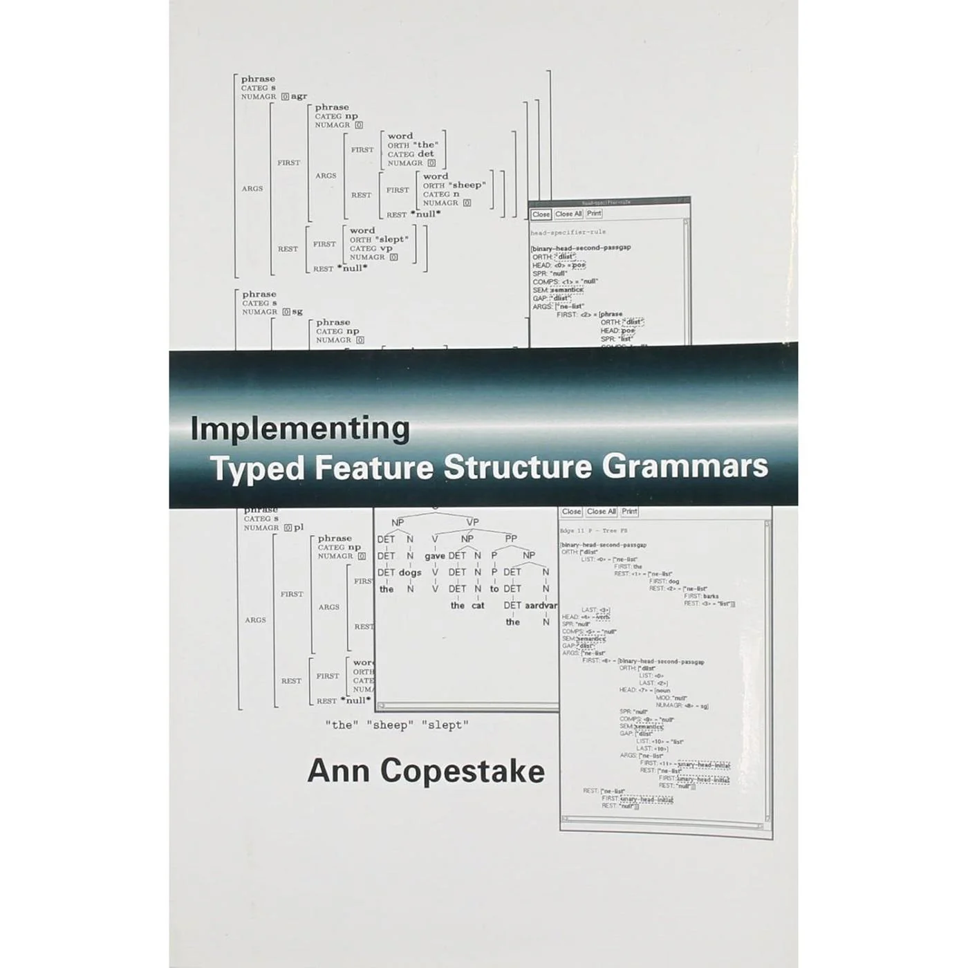 Implementing Typed Feature Structure Grammars