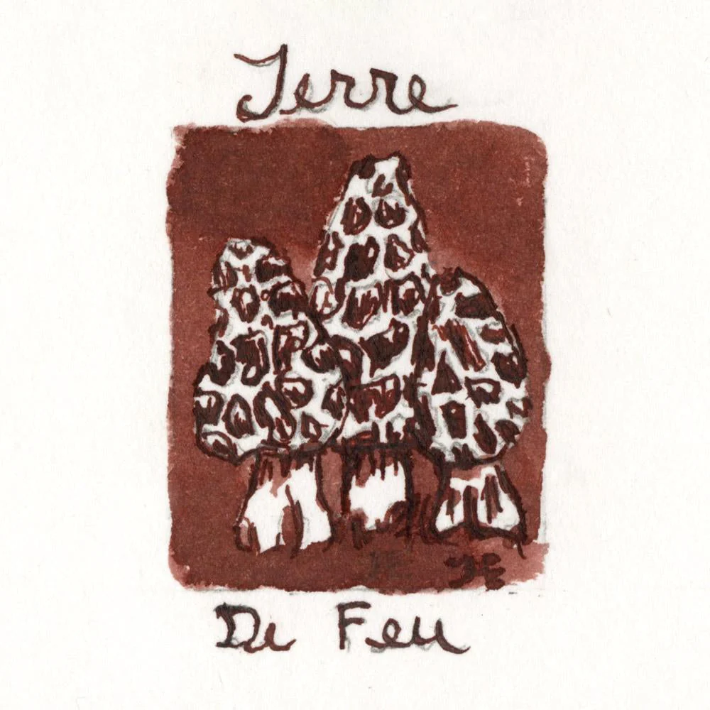 J. Herbin 10ml Fountain Pen Ink - Image 15