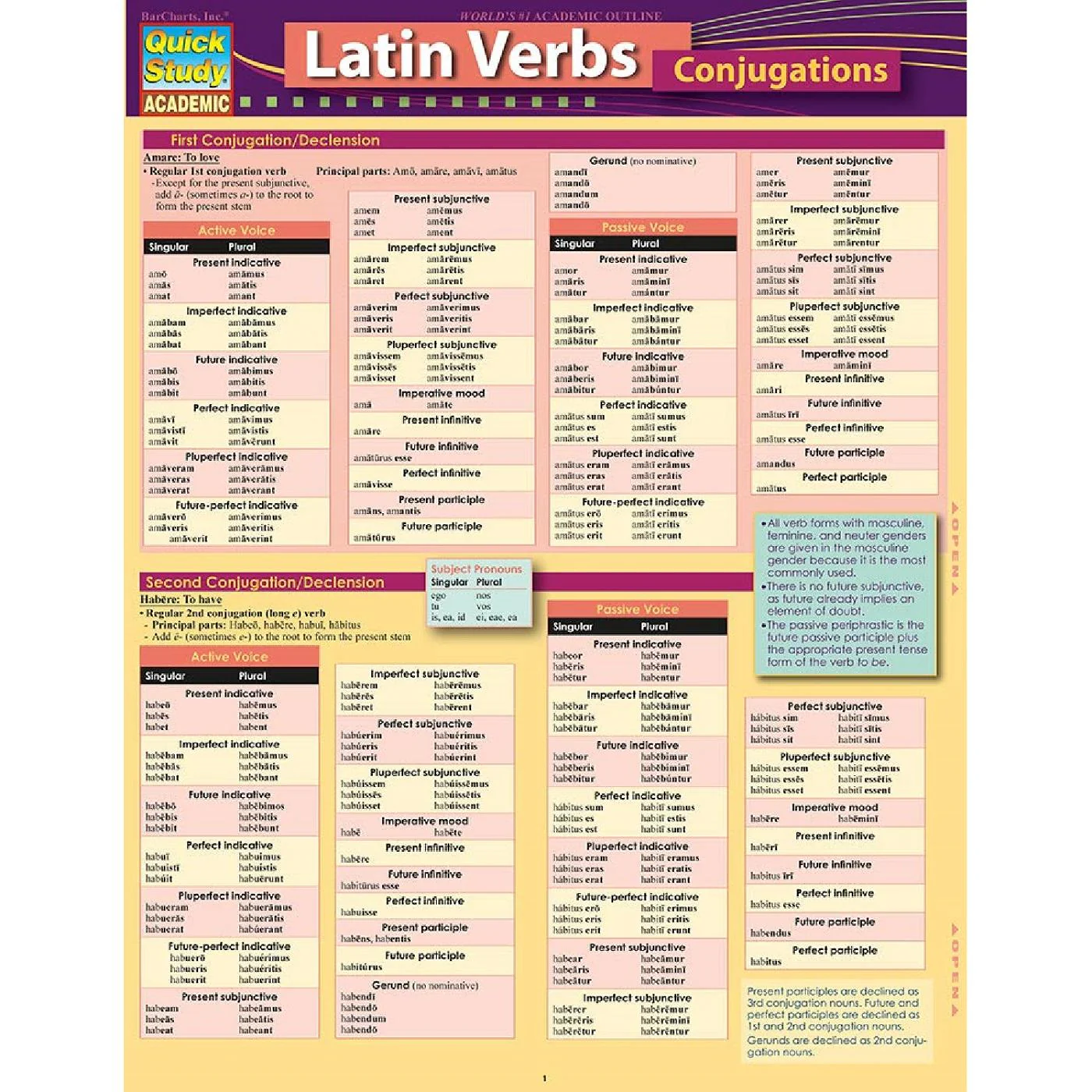 Latin Verbs Conjugations Bar Chart