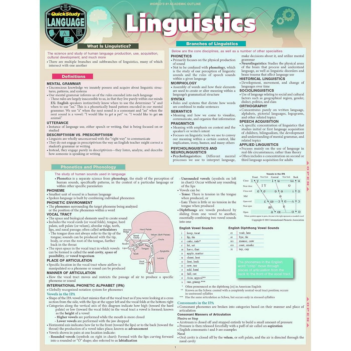 Linguistics Bar Chart