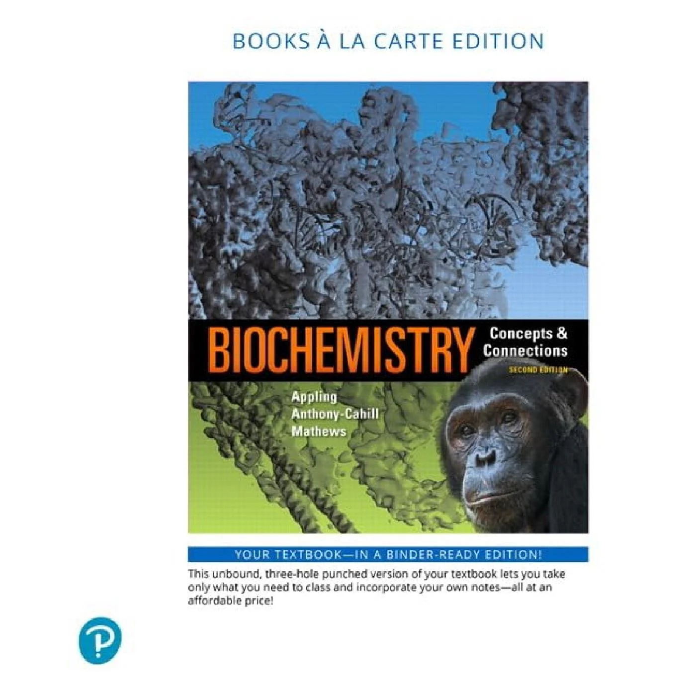 Loose Leaf Biochemistry (2e 19)