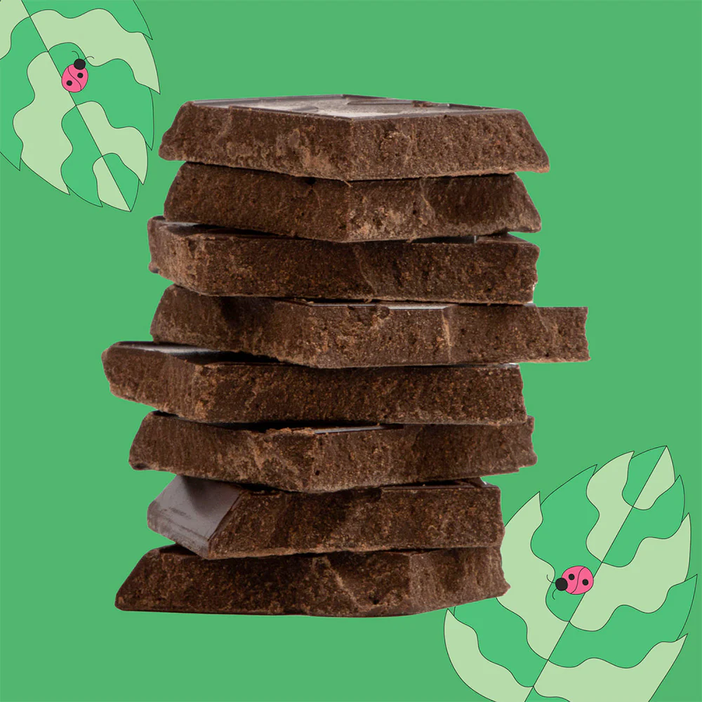 Maeve Seattle Chocolate Mint Green Thumb Truffle Bar - Image 2