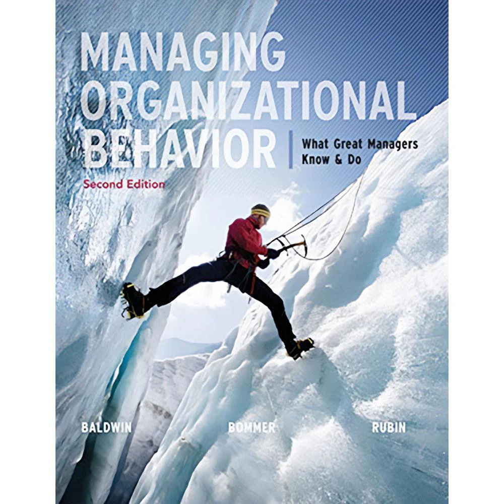Managing Organizational Behavior (2E 13)
