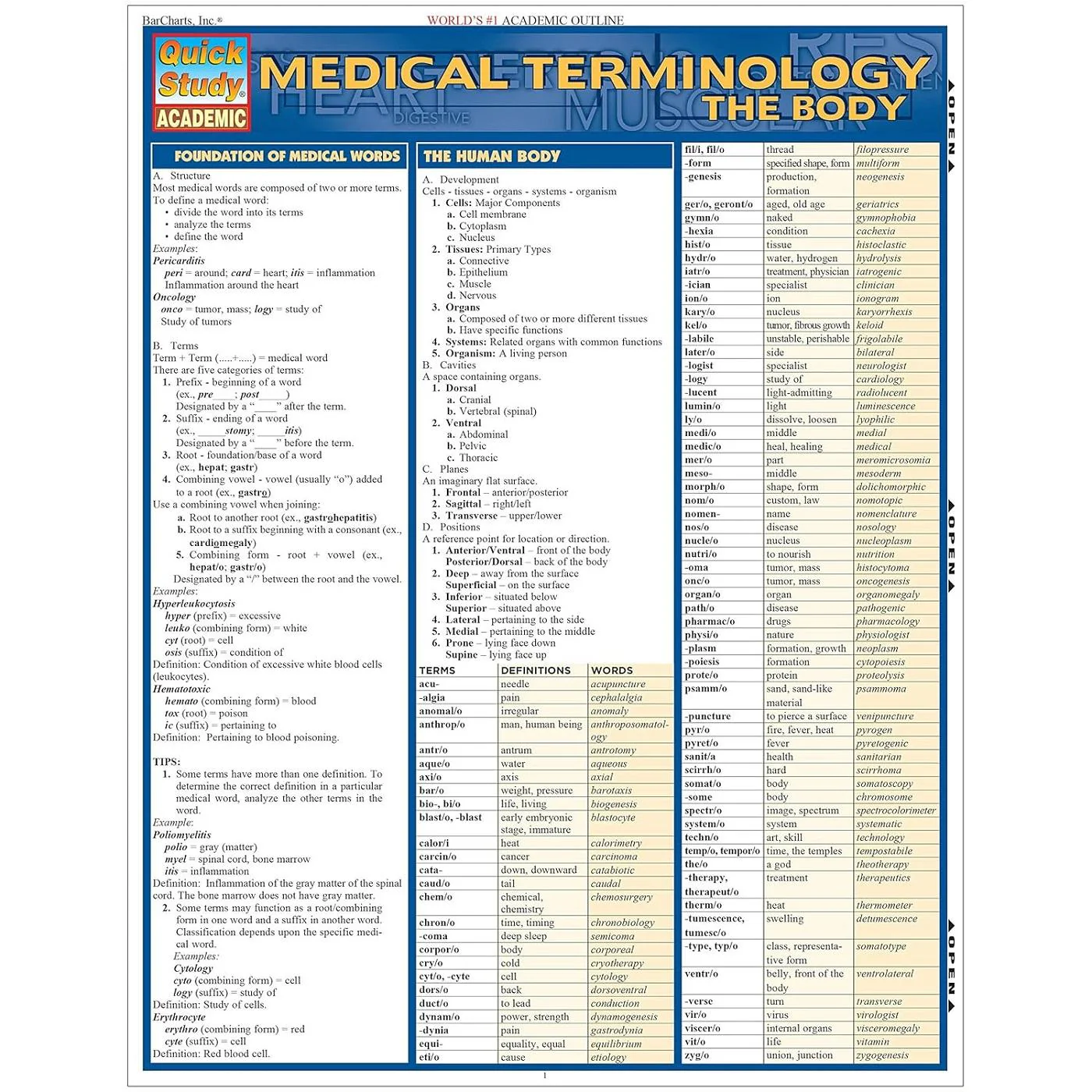 Medical Terminology Basics Bar Chart - Image 5