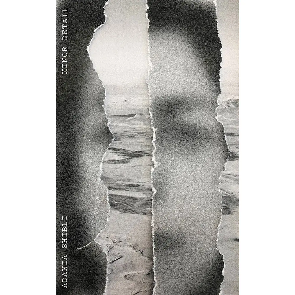 Minor Detail (tr Jaquette)