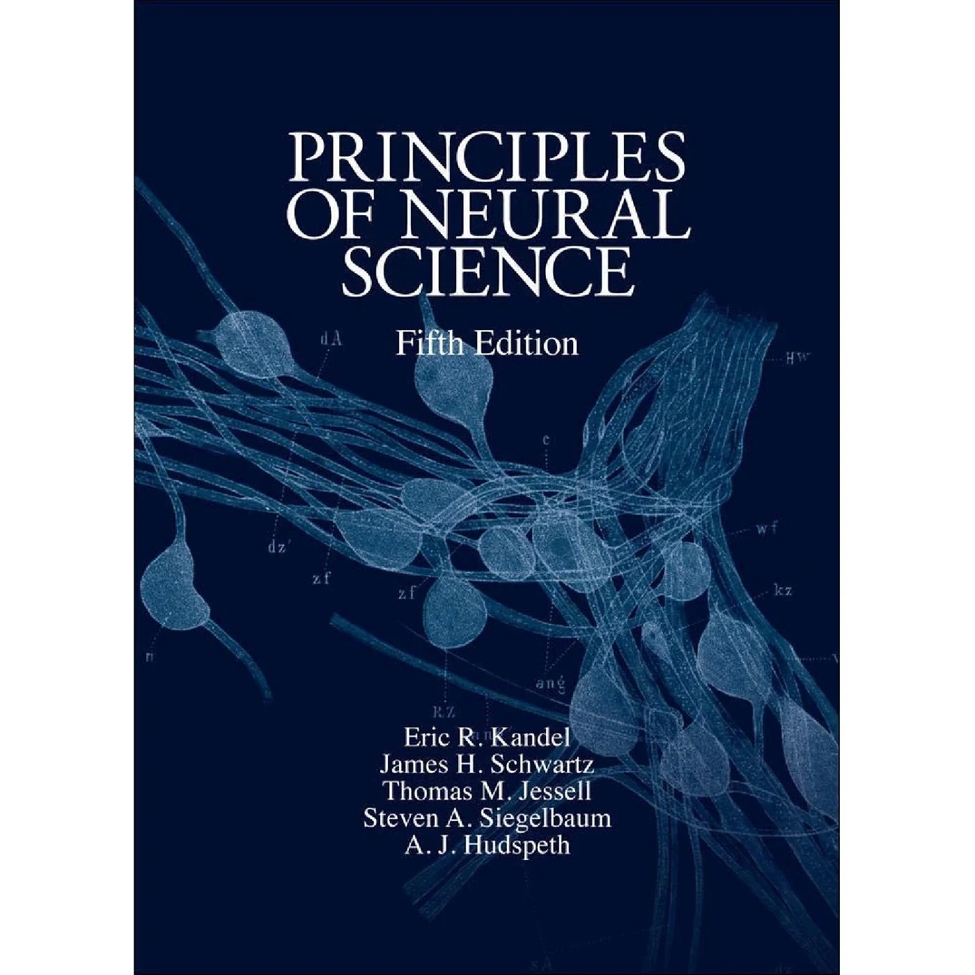 Principles Of Neural Science (5E 13)