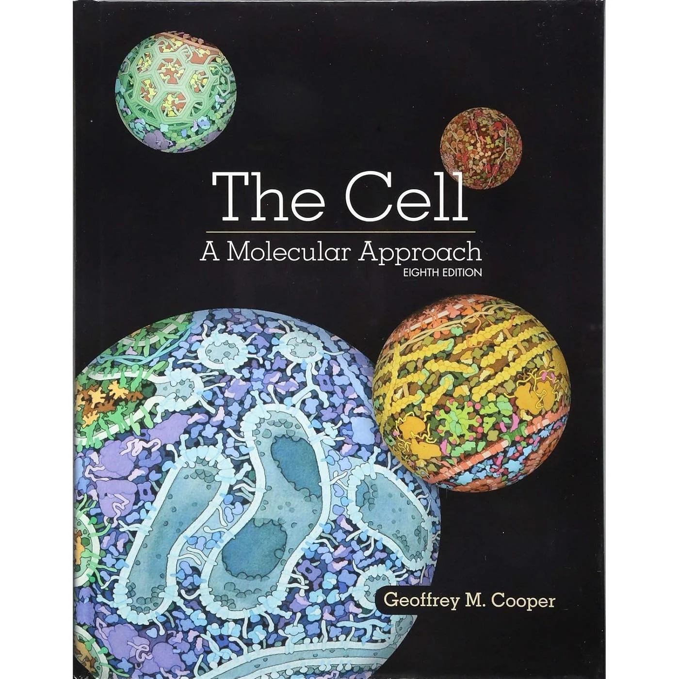 The Cell (8E 19)