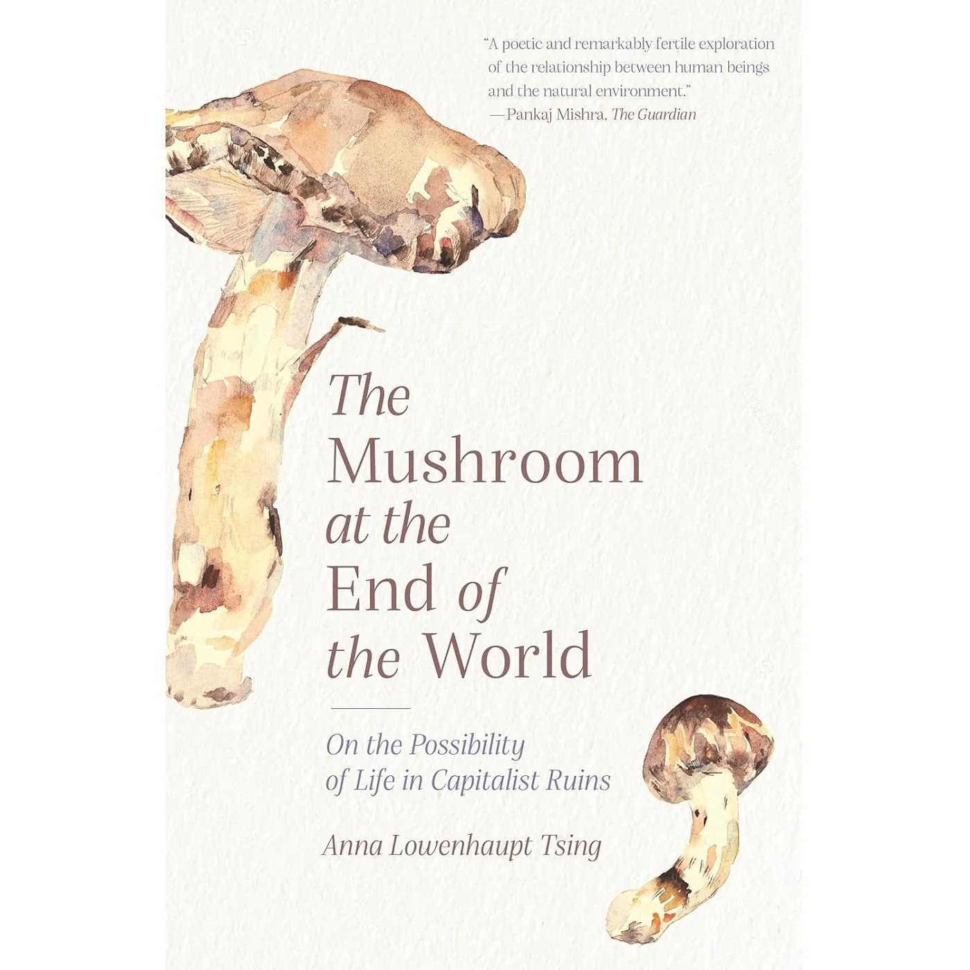 The Mushroom at the End of the World