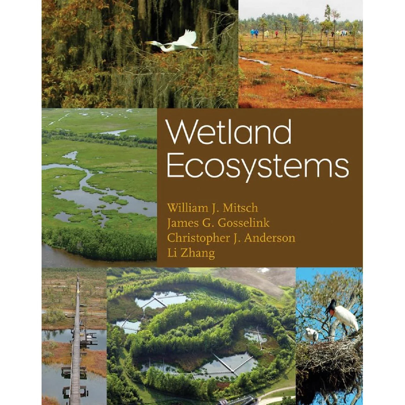 Wetland Ecosystems