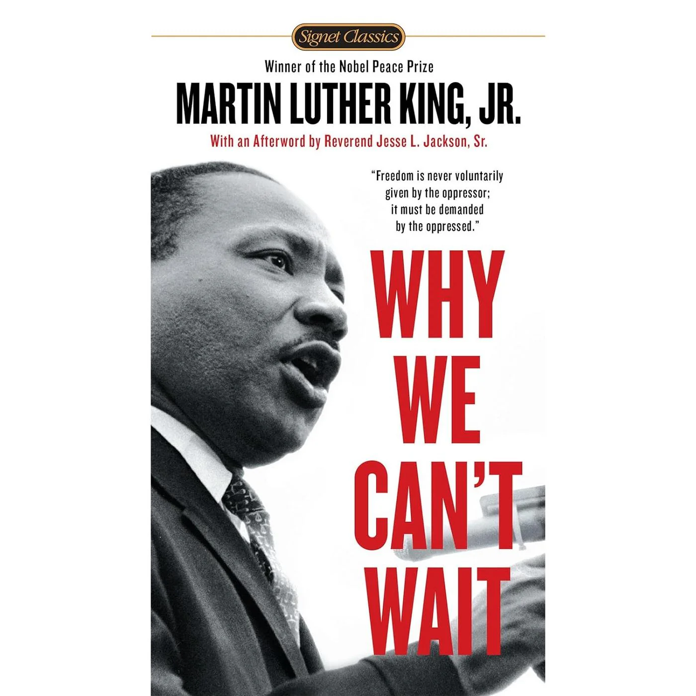 Why We Can't Wait