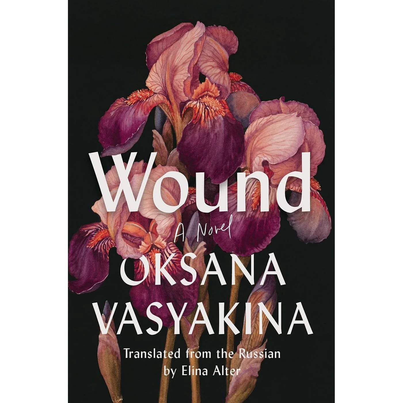 Wound: A Novel (tr Alter)